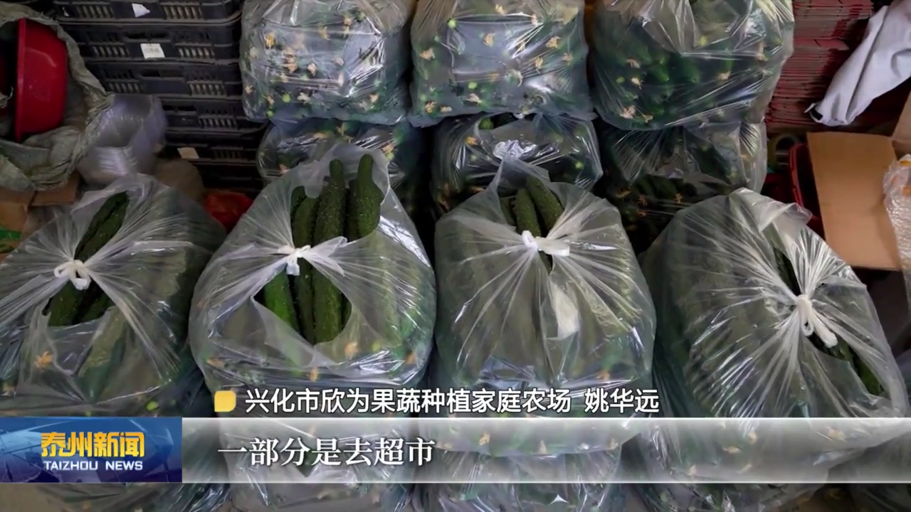 在希望的田野上  泰州：时令果蔬错峰上市 日均销售9500吨